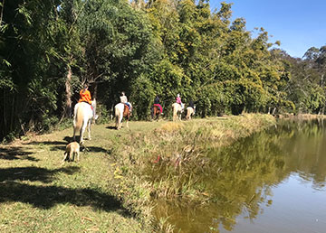 Centro de Treinamento Mundo do Cavalo