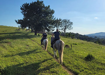 Centro de Treinamento Mundo do Cavalo