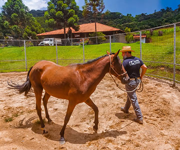 Centro de Treinamento Mundo do Cavalo